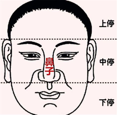 鼻子有志|「面相」鼻為面王，鼻子看你性格和財運！